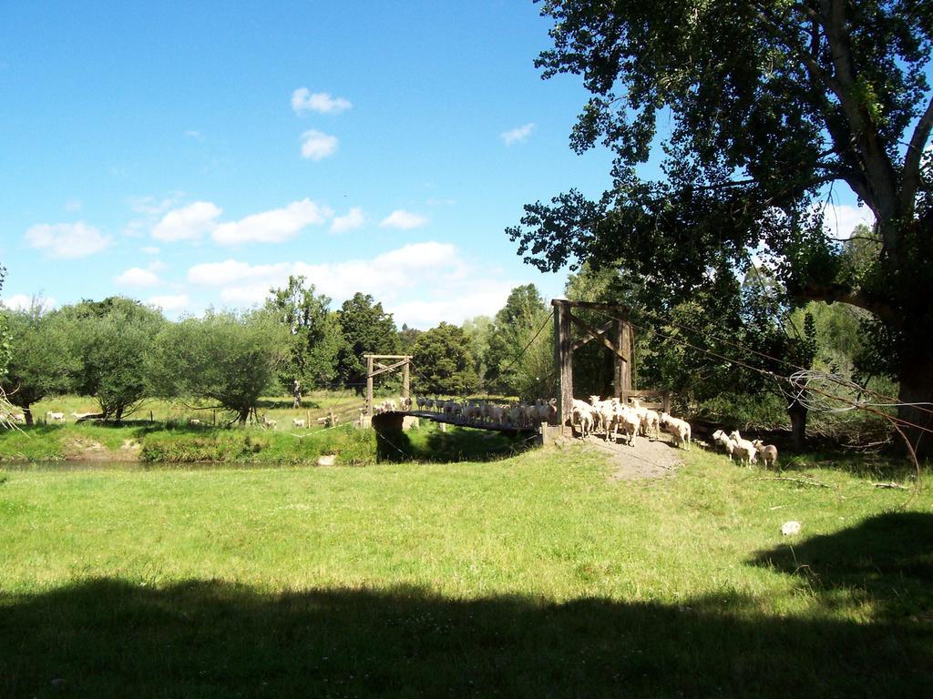 Earthsounds Country Cottage Taumarunui Quarto foto
